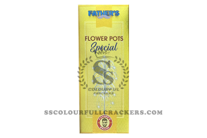 Flower Pots Special